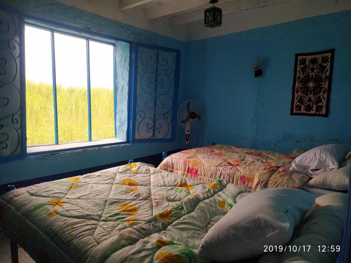Modos Place Luksor Dış mekan fotoğraf